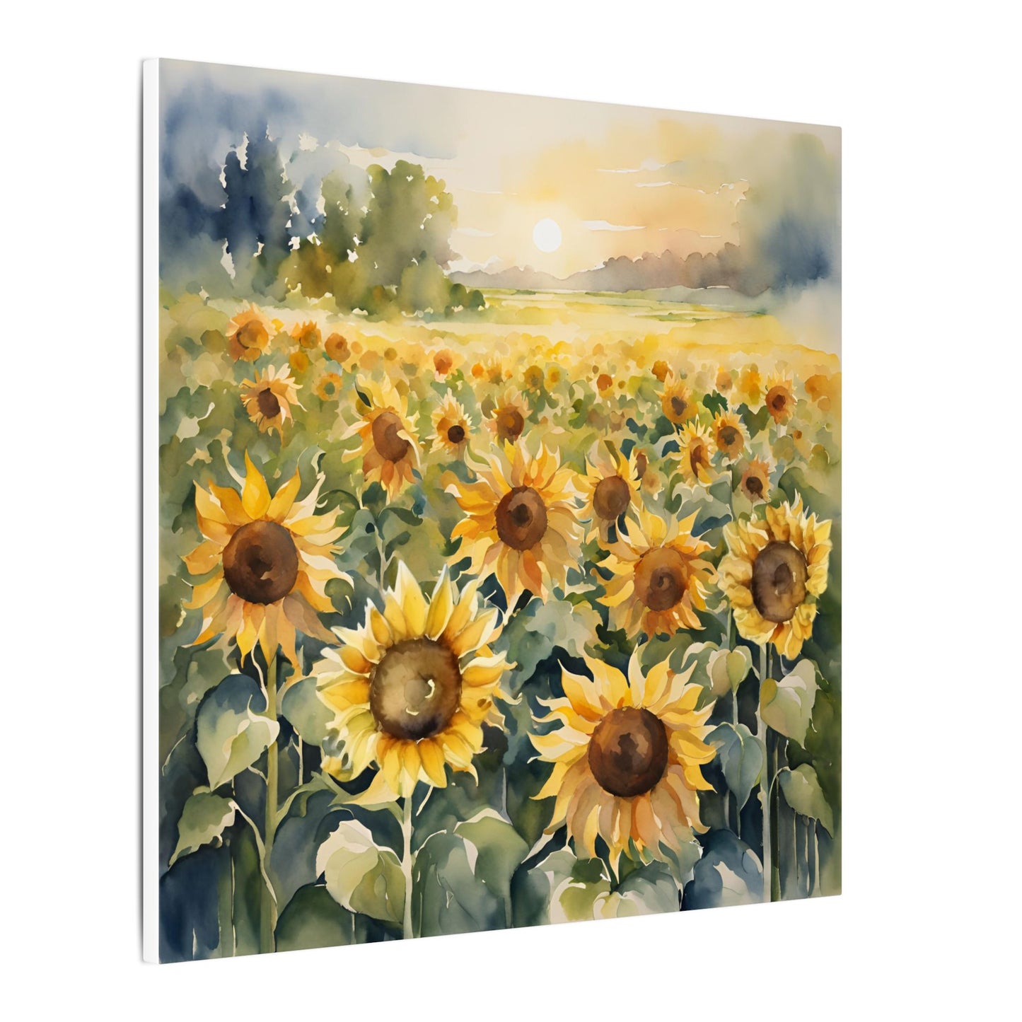 Matte Wall Canvas - Sunflower - Bloom and Grow Collection