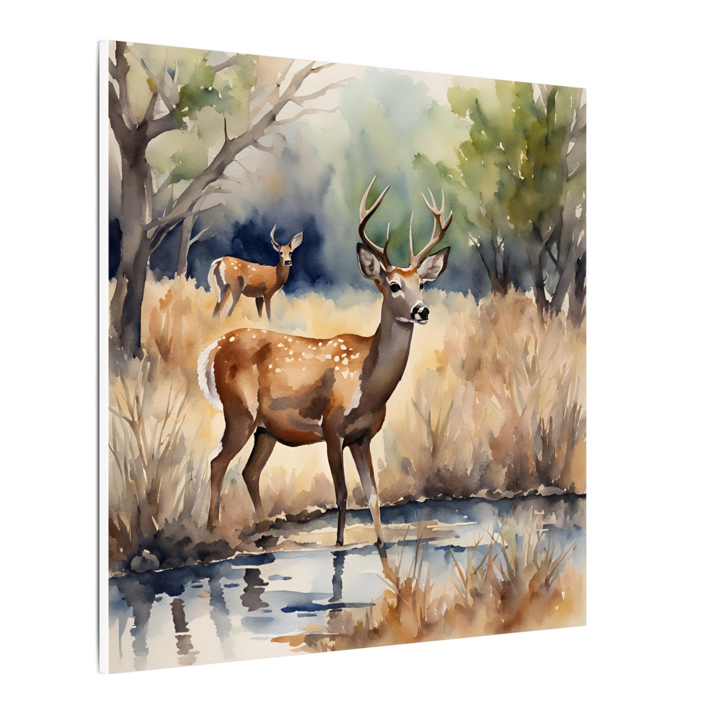 Matte Wall Canvas - Deer - The Great Outdoors Collection