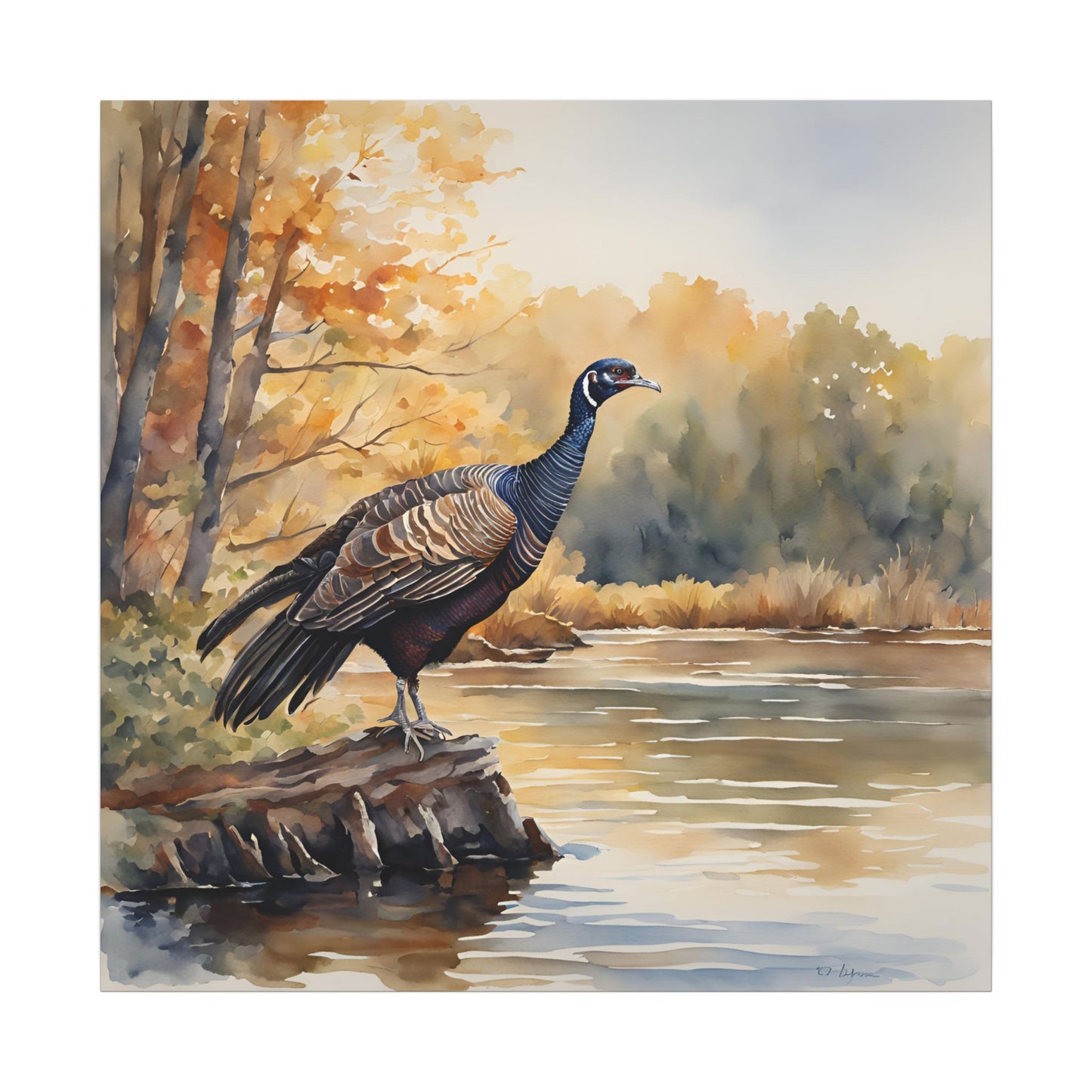 Matte Wall Canvas - Wild Turkey - The Great Outdoors Collection