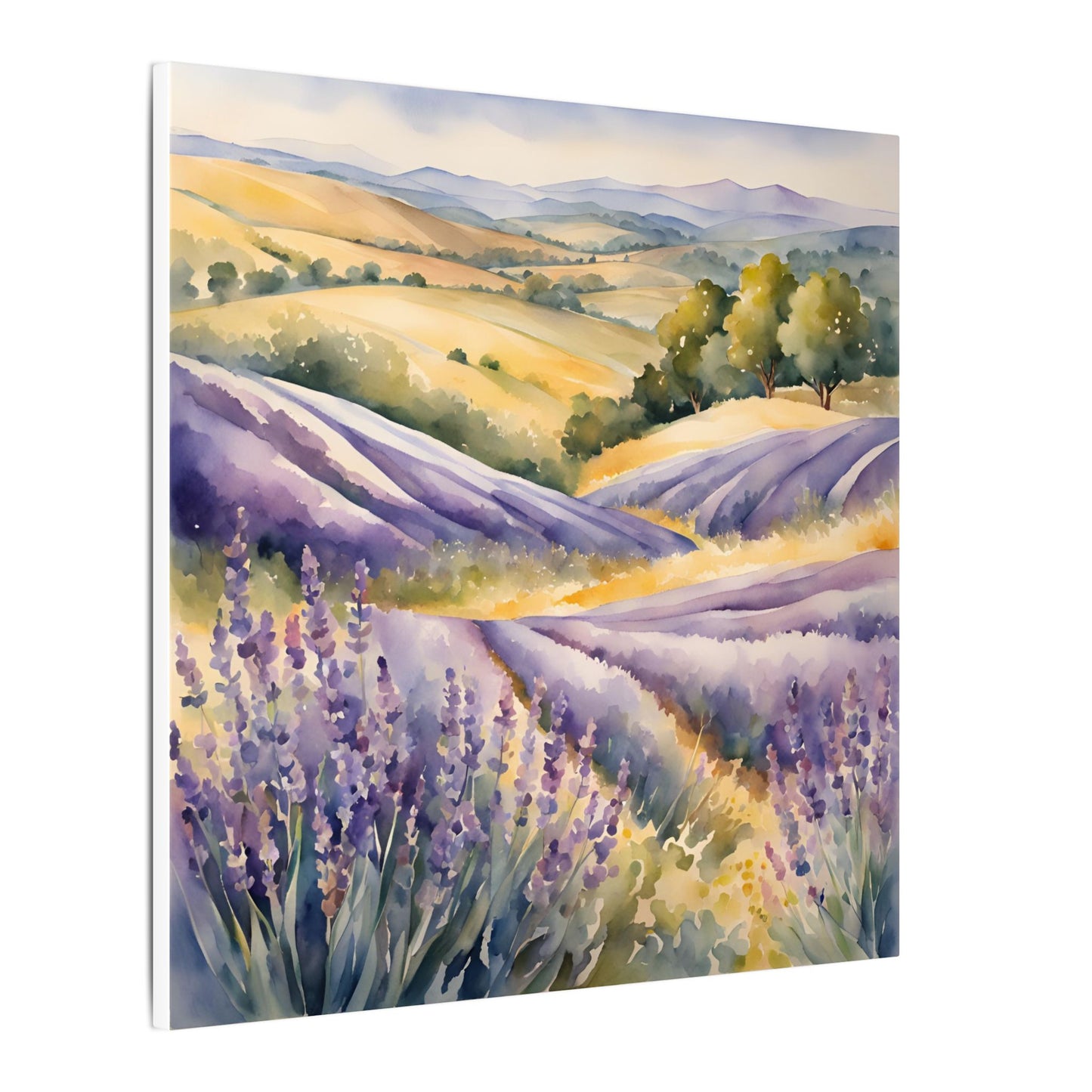 Matte Wall Canvas - Lavender - Bloom and Grow Collection