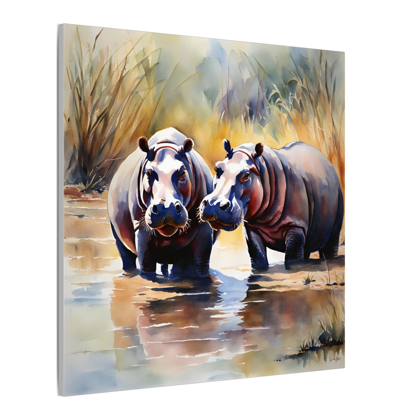 Matte Wall Canvas - Hippos - African Safari Collection