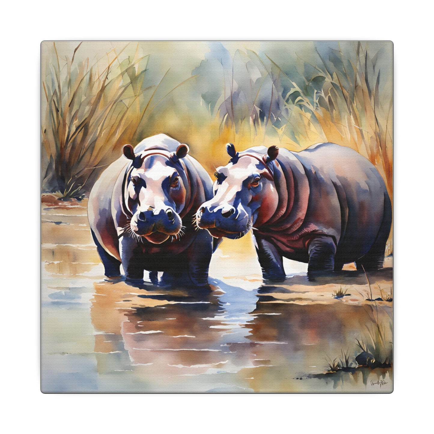 Matte Wall Canvas - Hippos - African Safari Collection