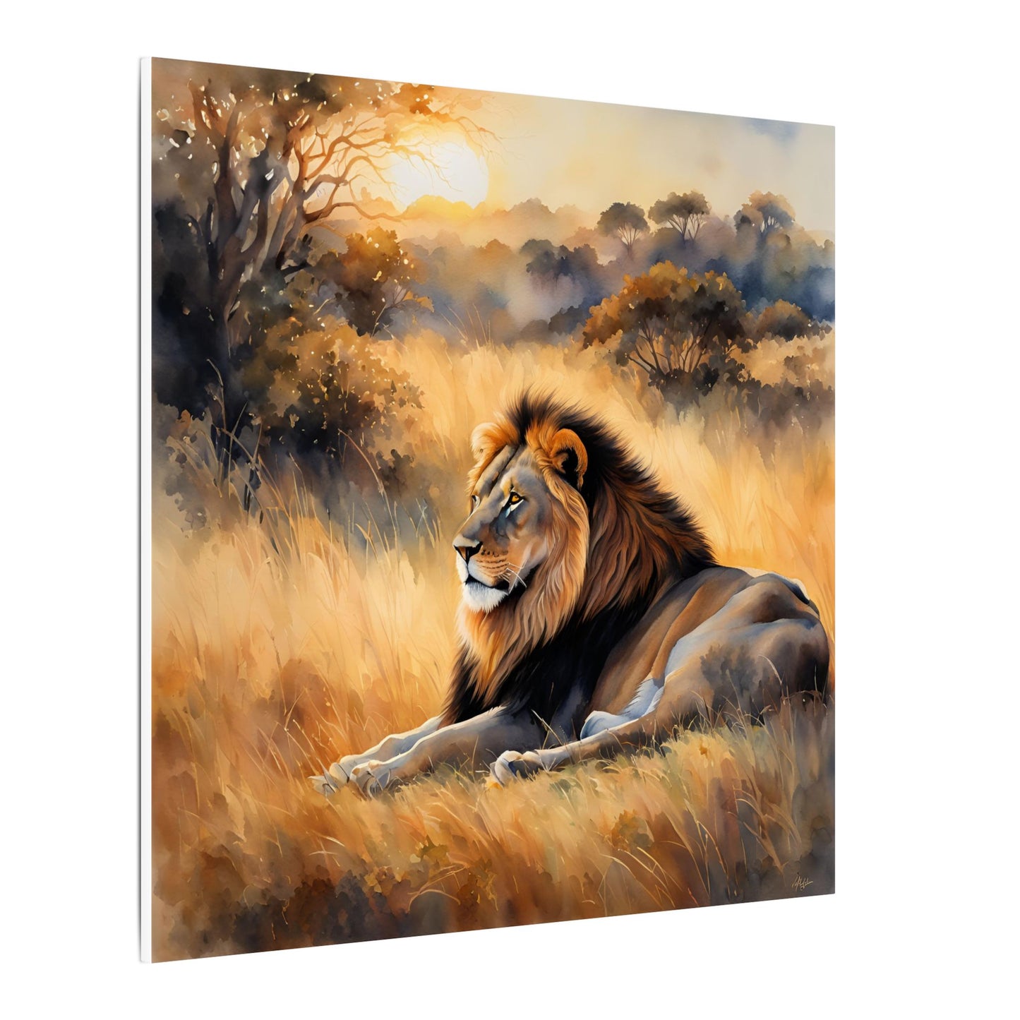Matte Wall Canvas - Lion Sunrise - African Safari Collection