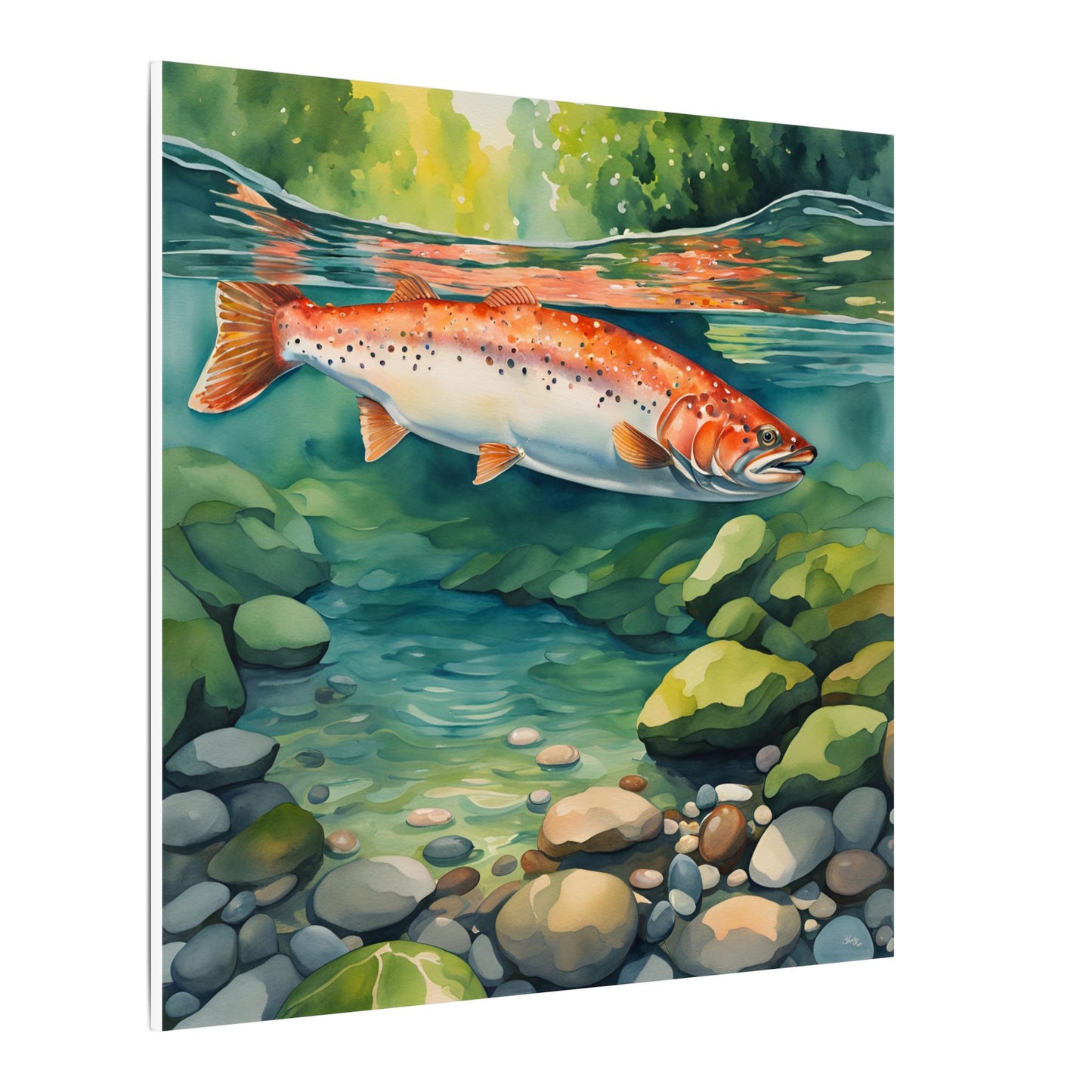 Matte Wall Canvas - Salmon - The Great Outdoors Collection