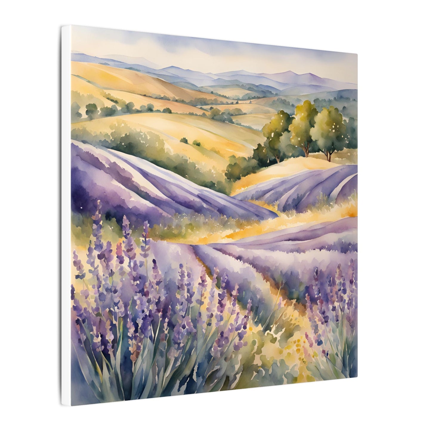 Matte Wall Canvas - Lavender - Bloom and Grow Collection
