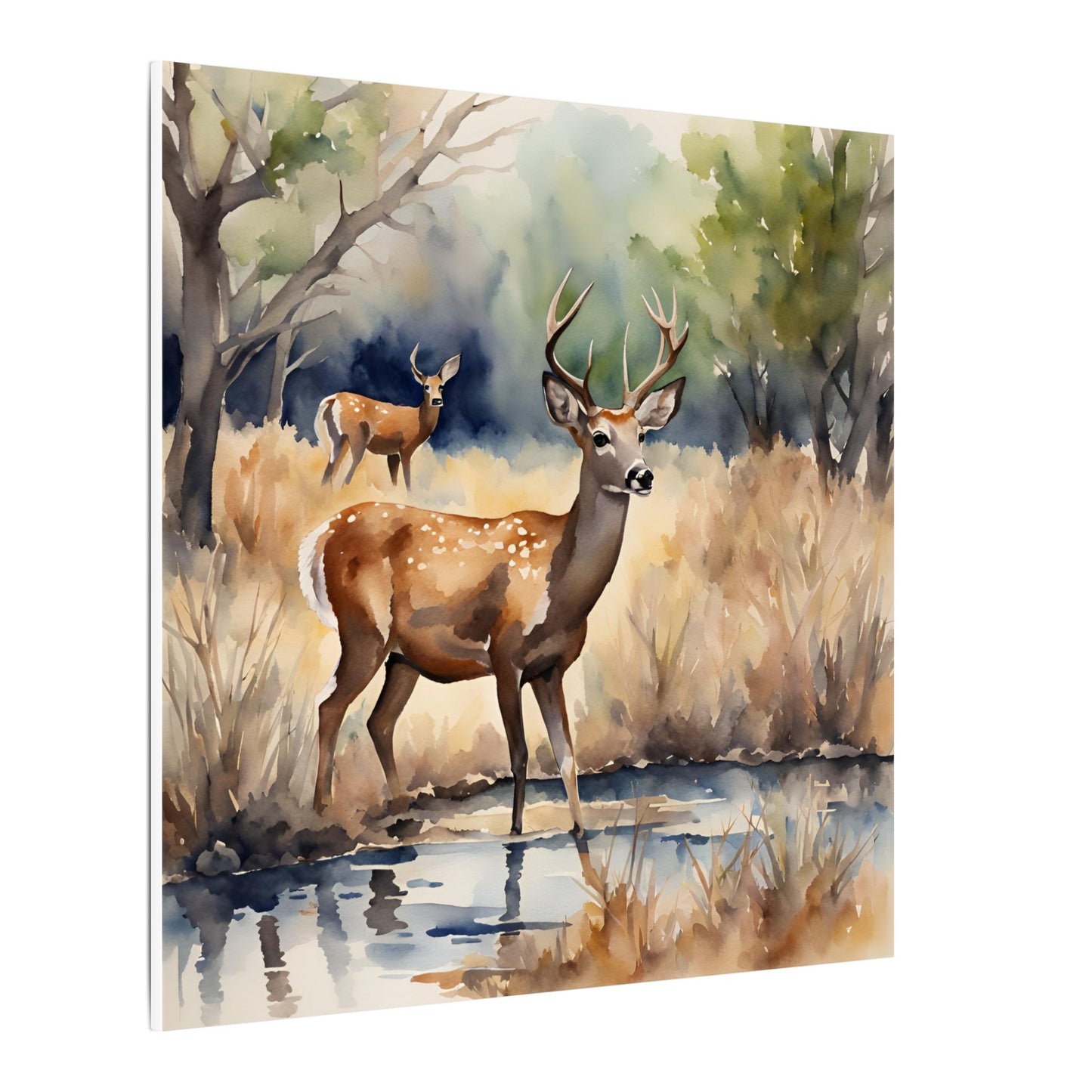 Matte Wall Canvas - Deer - The Great Outdoors Collection