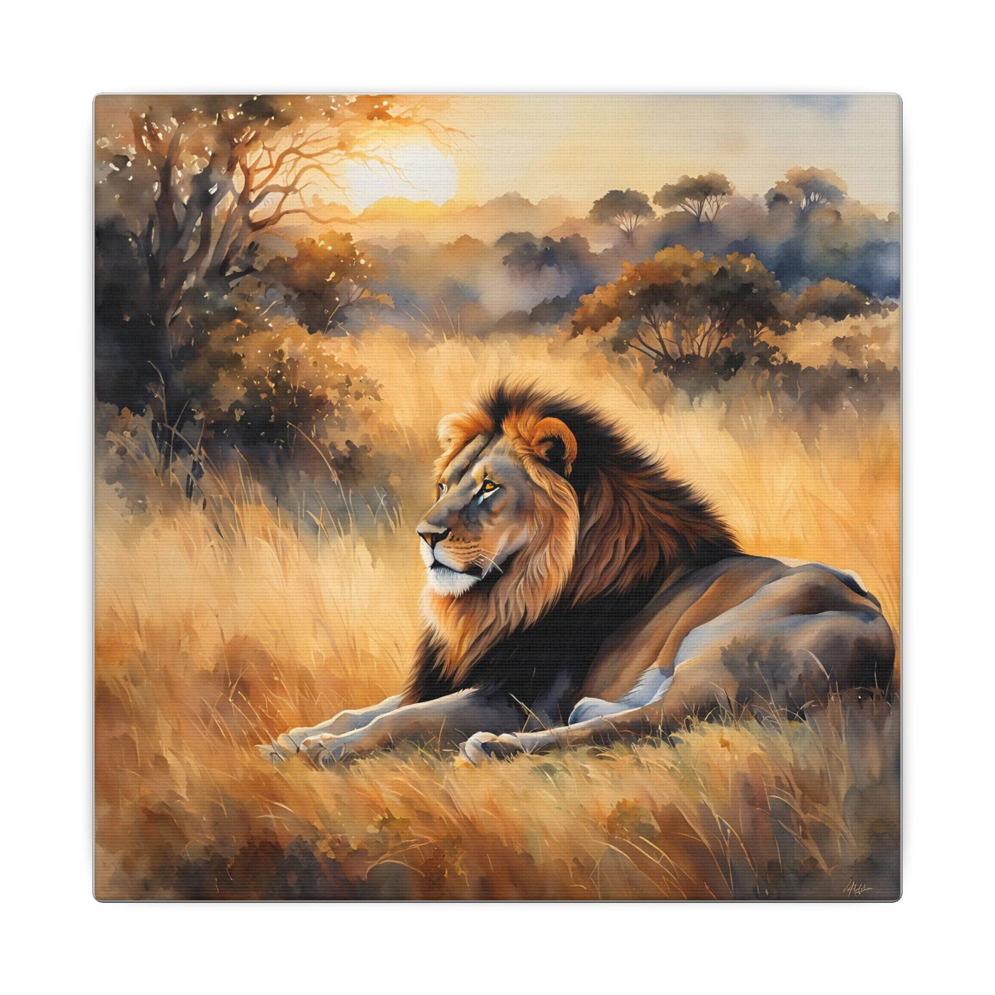 Matte Wall Canvas - Lion Sunrise - African Safari Collection