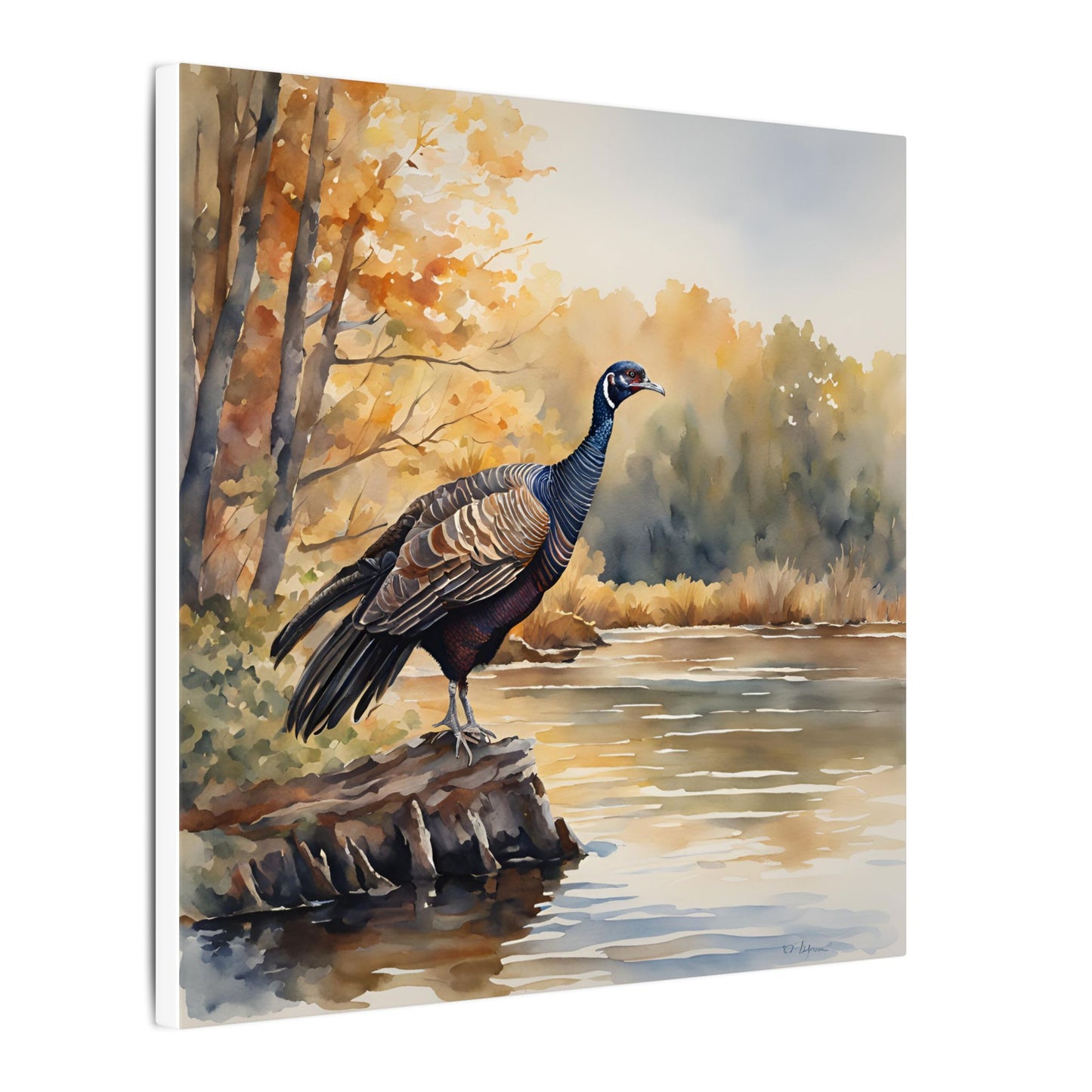 Matte Wall Canvas - Wild Turkey - The Great Outdoors Collection