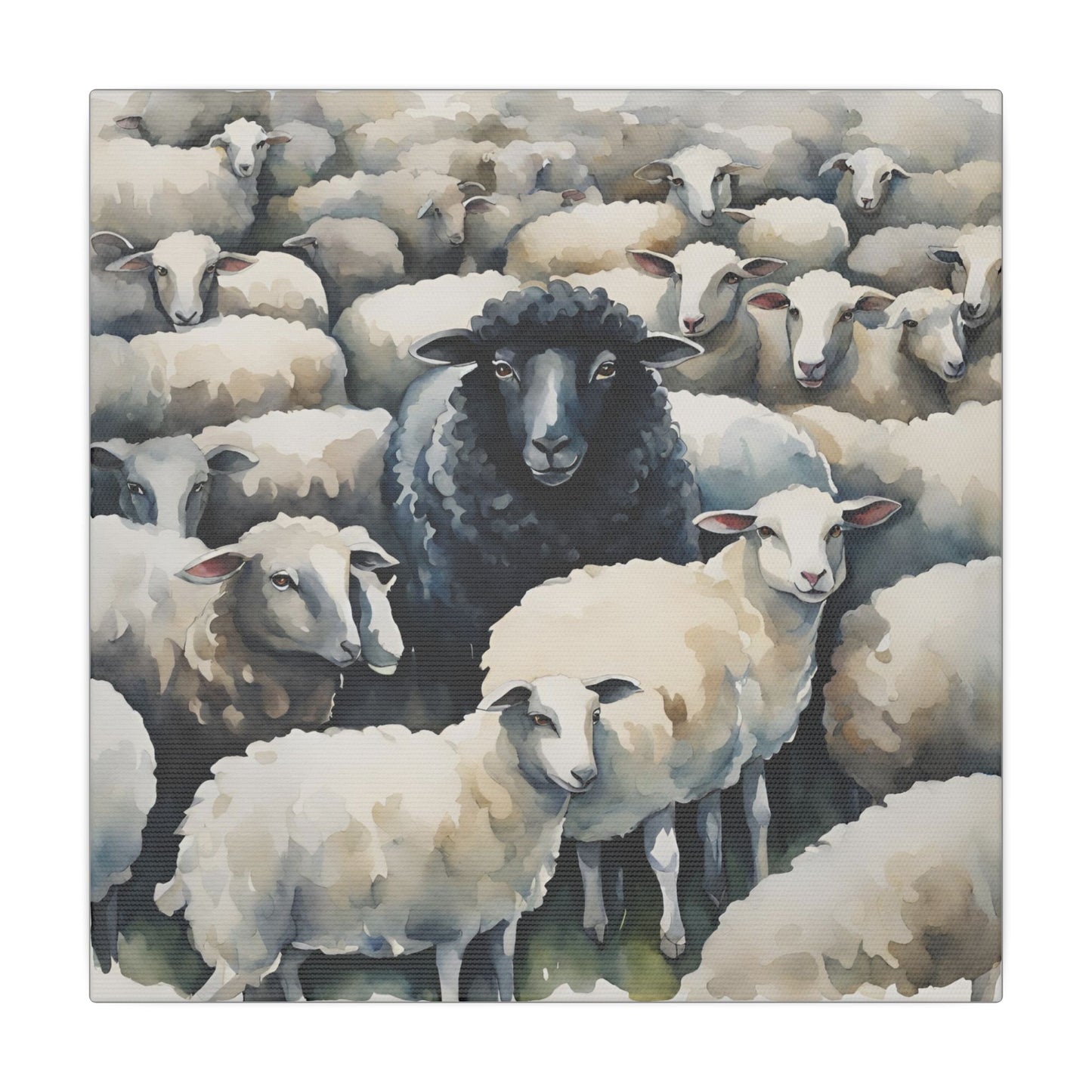 Matte Wall Canvas - Bah Bah Black Sheep - Nursery Rhymes Collection