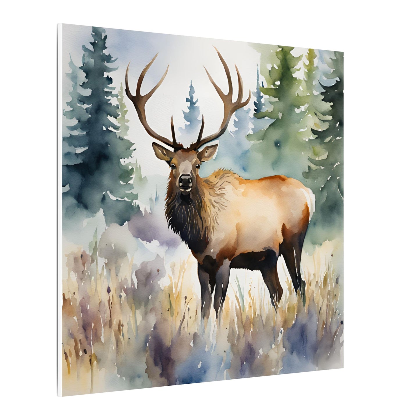 Matte Wall Canvas - Elk - The Great Outdoors Collection