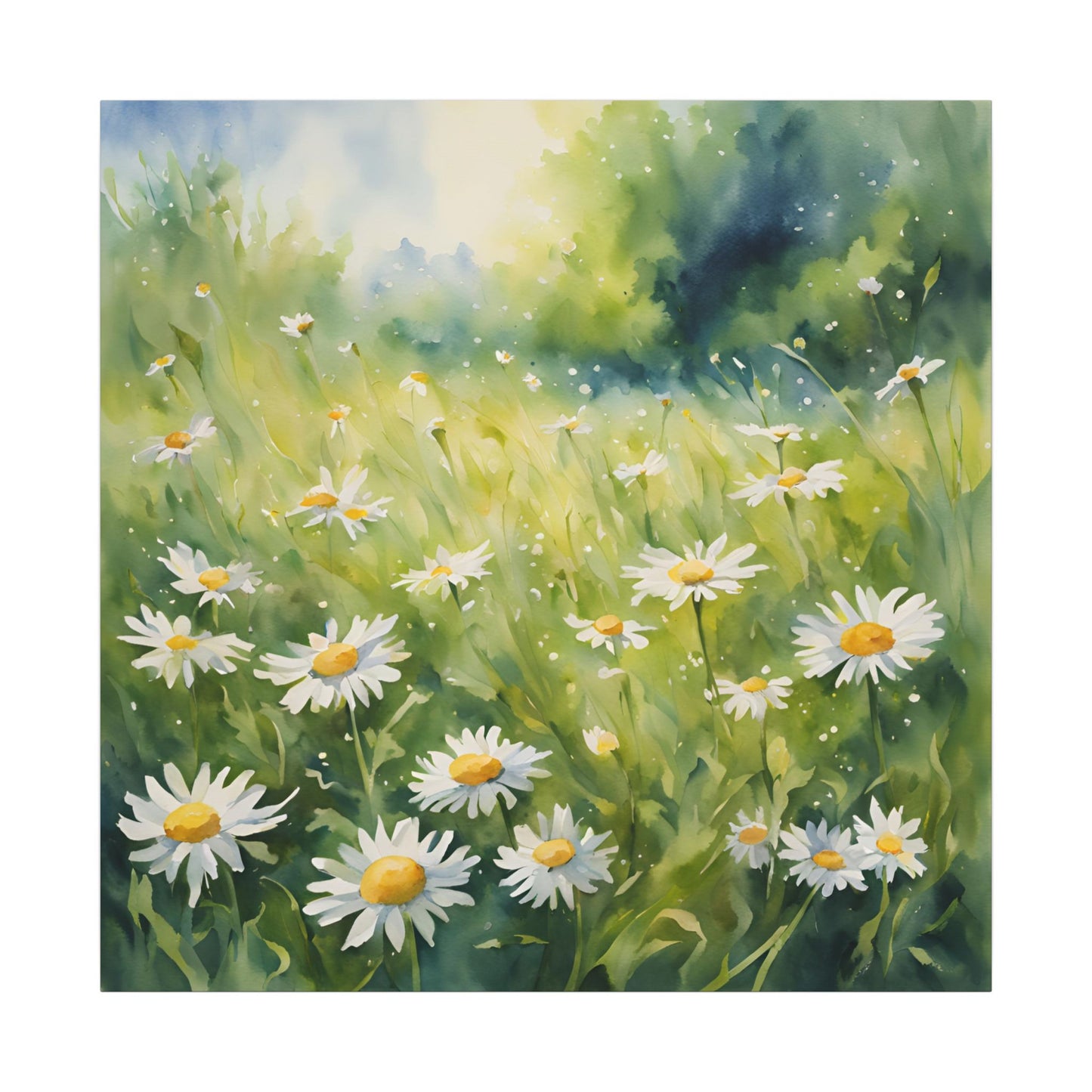 Matte Wall Canvas - Daisy - Bloom and Grow Collection