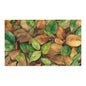 Area Rug - Natural Camouflage - The Great Outdoors Collection