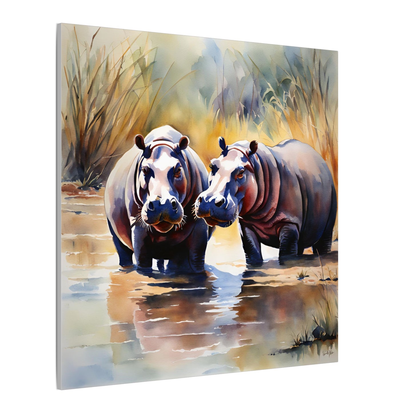 Matte Wall Canvas - Hippos - African Safari Collection