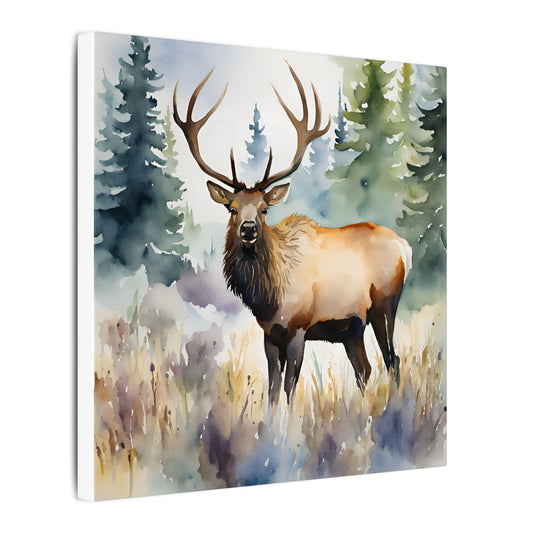 Matte Wall Canvas - Elk - The Great Outdoors Collection