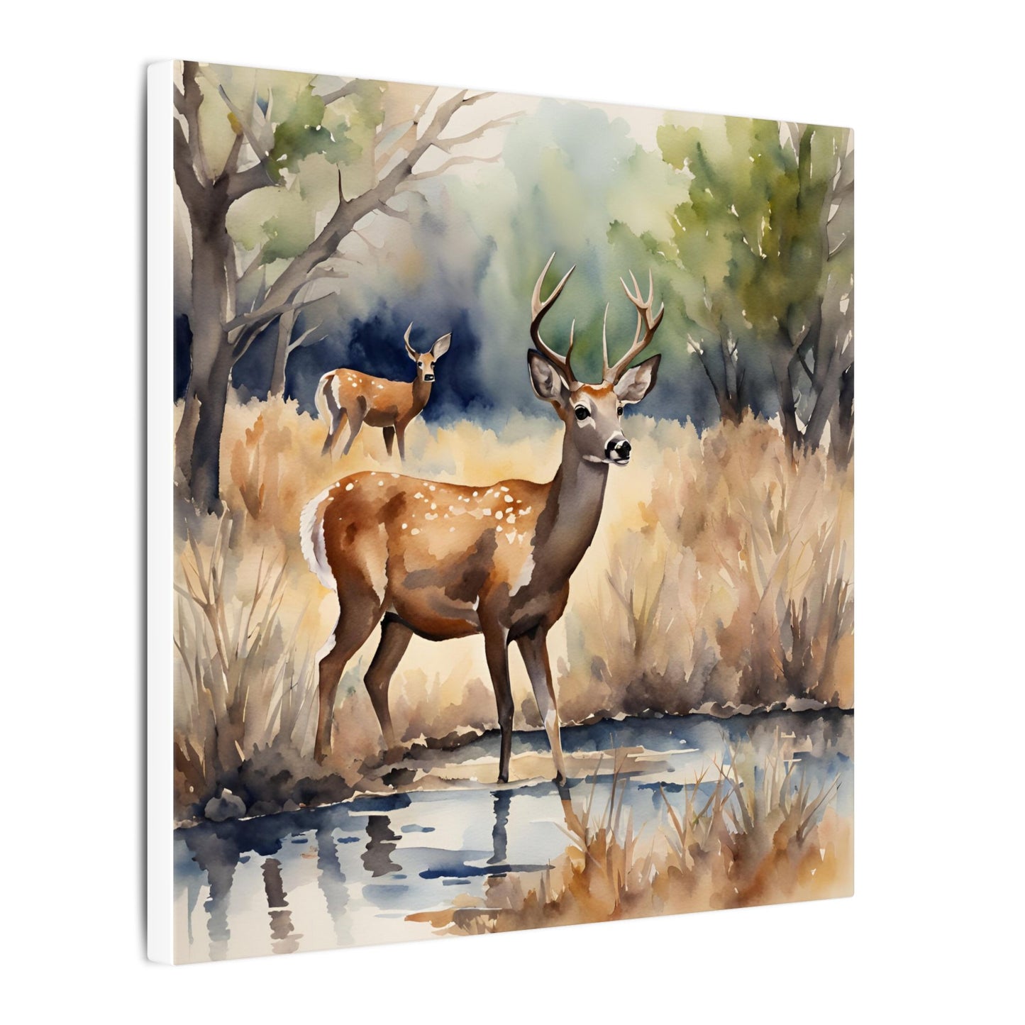 Matte Wall Canvas - Deer - The Great Outdoors Collection