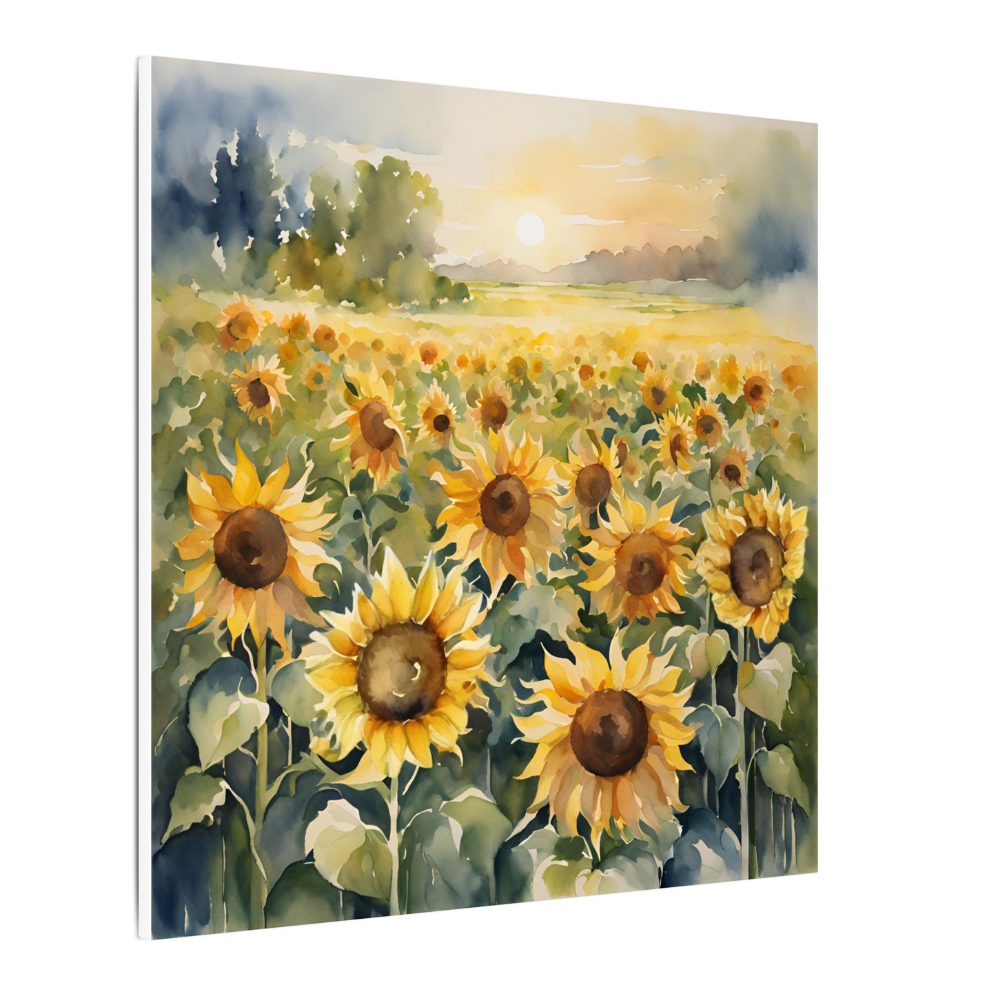 Matte Wall Canvas - Sunflower - Bloom and Grow Collection