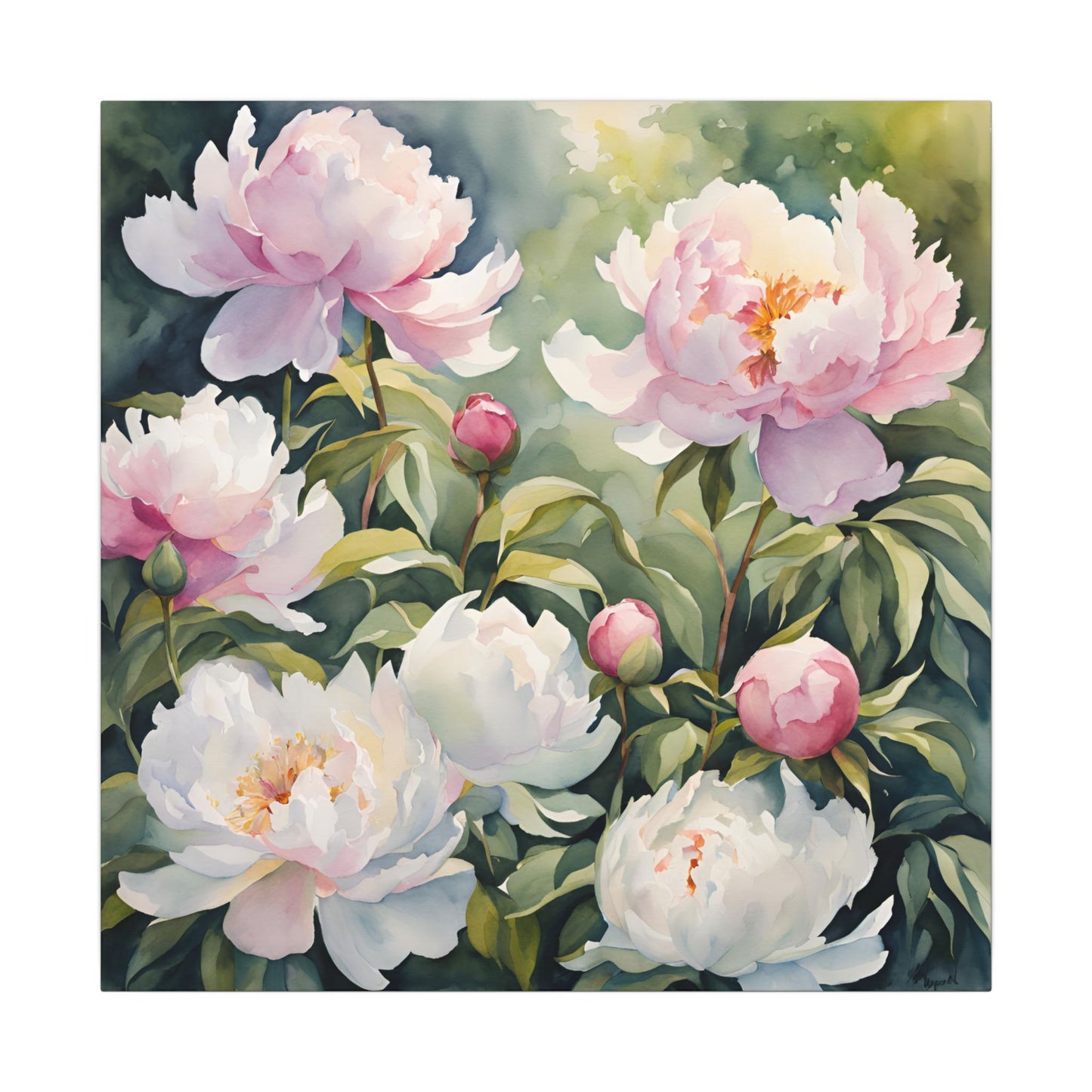 Matte Wall Canvas - Peony - Bloom and Grow Collection