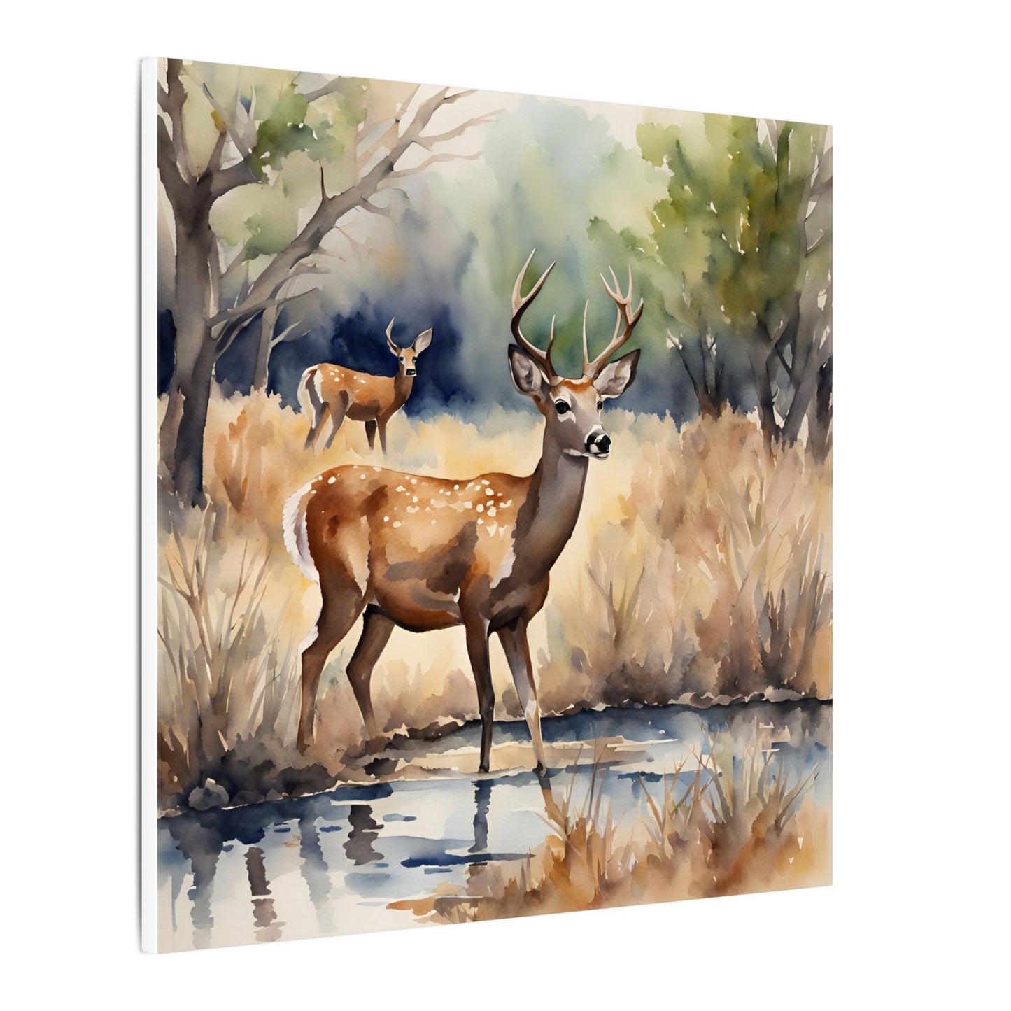Matte Wall Canvas - Deer - The Great Outdoors Collection