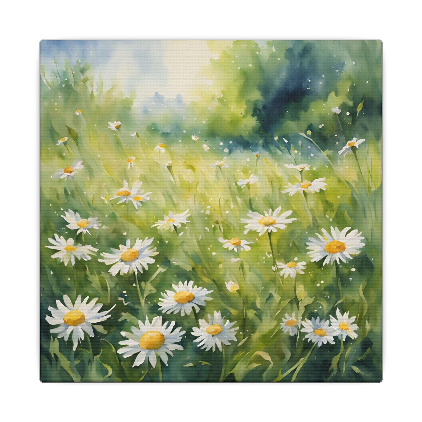 Matte Wall Canvas - Daisy - Bloom and Grow Collection