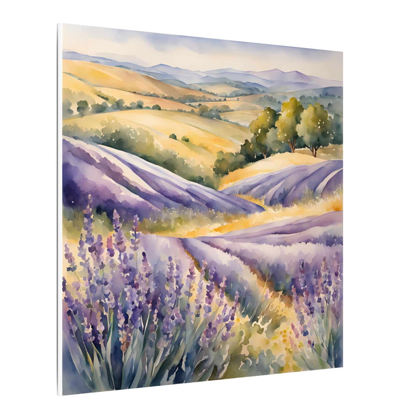 Matte Wall Canvas - Lavender - Bloom and Grow Collection