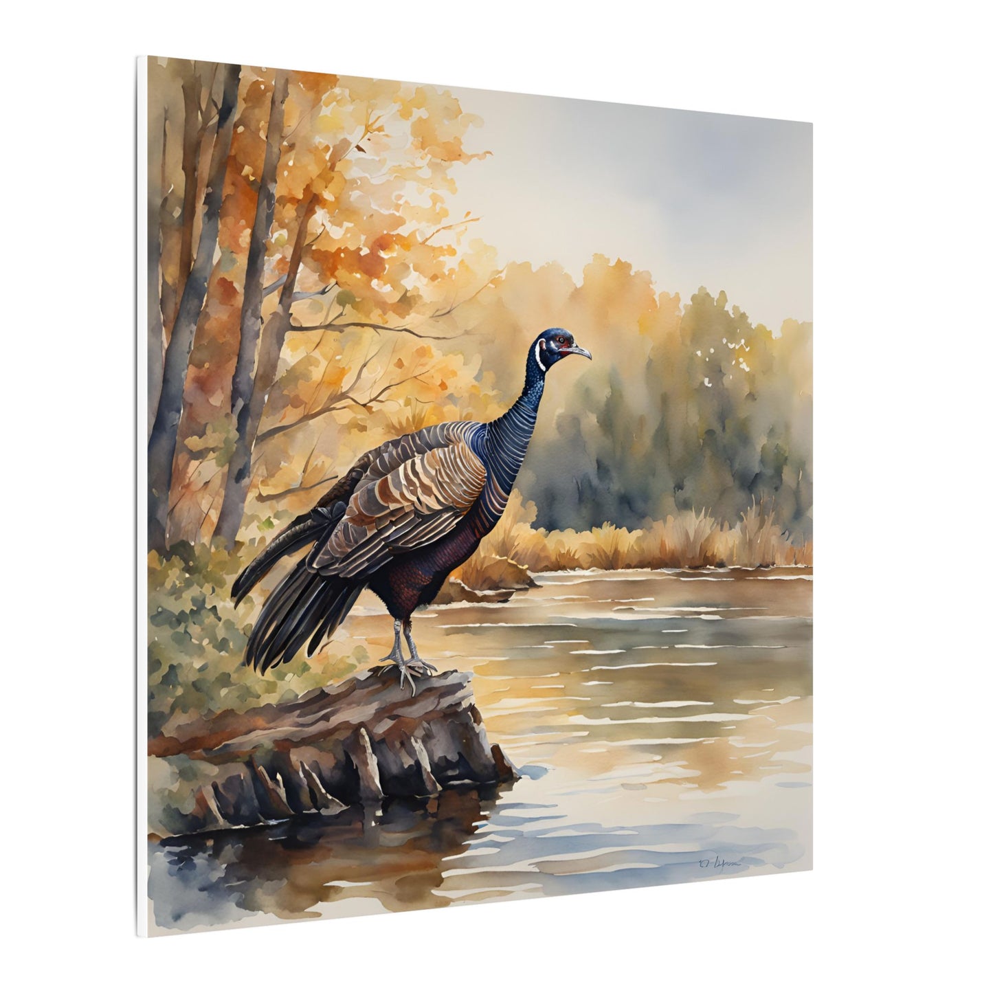 Matte Wall Canvas - Wild Turkey - The Great Outdoors Collection