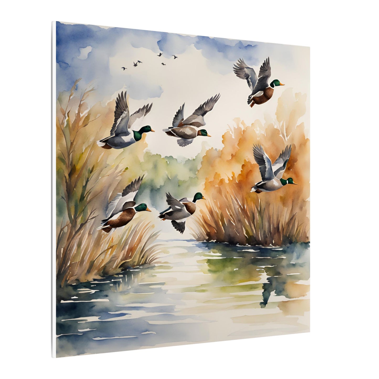 Matte Wall Canvas - Ducks - The Great Outdoors Collection