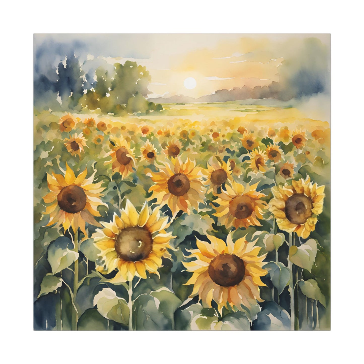 Matte Wall Canvas - Sunflower - Bloom and Grow Collection